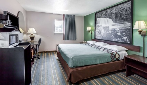 Habitación estándar, 1 cama de matrimonio grande