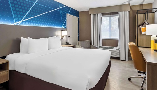 Habitación, 1 cama de matrimonio, accesible para personas con discapacidad (Roll-In Shower)