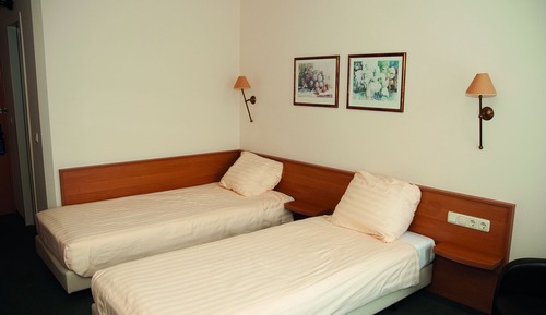 Habitación Confort doble, vistas al jardín