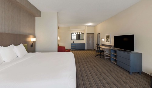 Suite estudio Premium, 1 cama de matrimonio grande, no fumadores (Non Smoking)