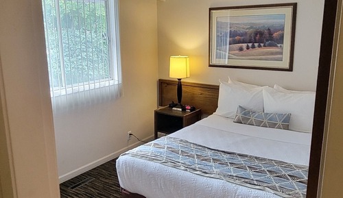 Apartment Suite (Non-Pet Friendly)