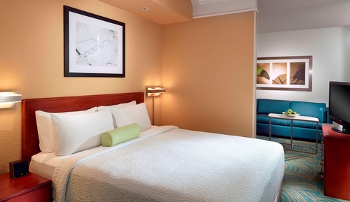 Suite, 1 cama de matrimonio grande con sofá cama (Mobility/Hearing Access, Roll-In Shwr)