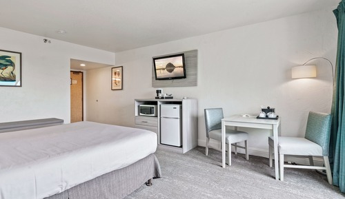 Habitación estándar, 1 cama de matrimonio grande, no fumadores