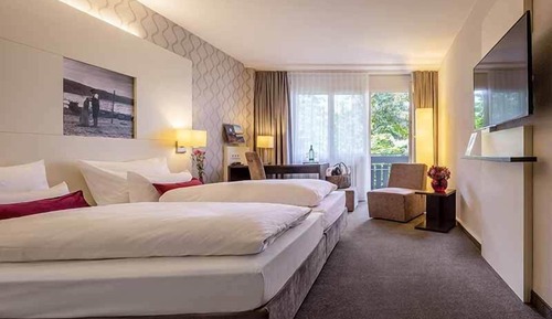 Habitación Confort doble, vistas al jardín