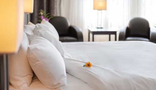 Suite, 1 cama de matrimonio grande con sofá cama