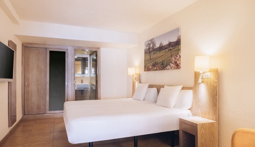 Habitación doble de uso individual, vistas al jardín