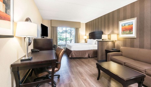Suite estudio, 1 cama de matrimonio grande con sofá cama, no fumadores