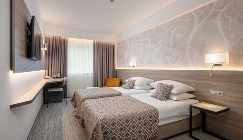 Habitación estándar con 1 cama doble o 2 individuales