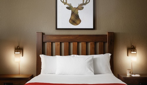 Suite de lujo, 1 cama de matrimonio grande con sofá cama (Waterpark Included)