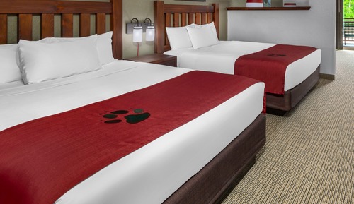 Suite (Waterpark Included-Grizzly Bear)