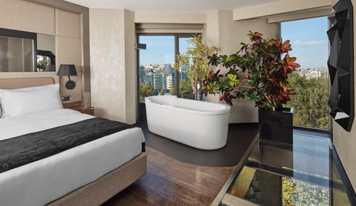 Suite, 1 habitación (Bosphorus, Bi-Level Suite)