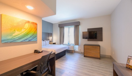 Suite estudio, 1 cama de matrimonio, accesible para personas con discapacidad (Mobility Accessible)