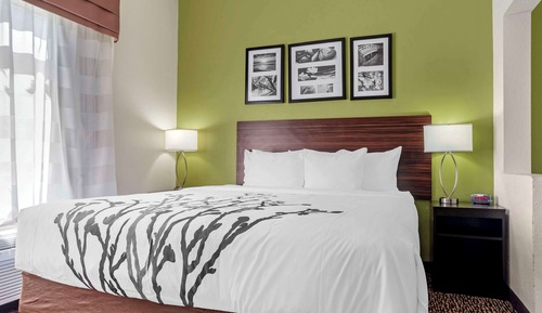 Suite, 1 cama de matrimonio grande