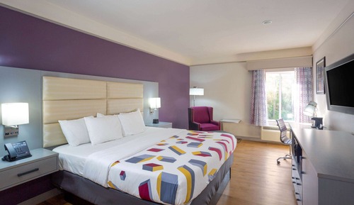 Habitación, 1 cama de matrimonio grande