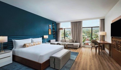 Habitación, 1 cama de matrimonio grande con sofá cama
