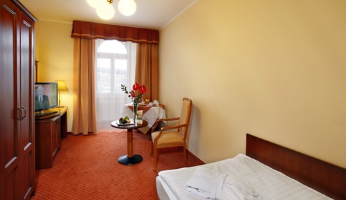 Superior Single Room with Wellness and Fitness Access