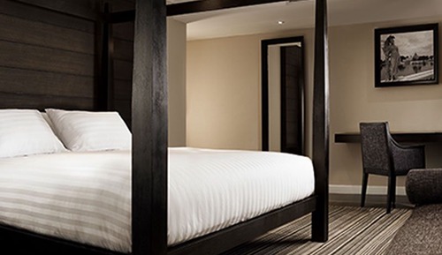 Junior Single Suite