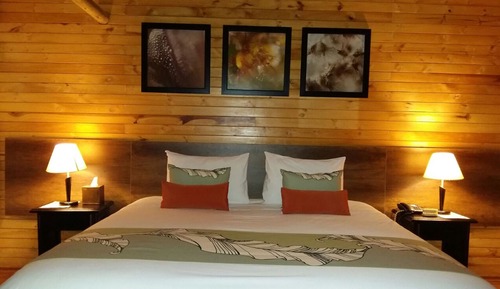 Habitación estándar doble, 1 cama de matrimonio grande