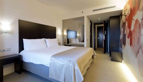Habitación Business, 1 cama de matrimonio grande, no fumadores
