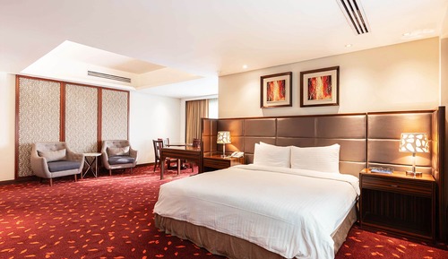 Suite ejecutiva, 1 cama de matrimonio grande, vistas a la ciudad