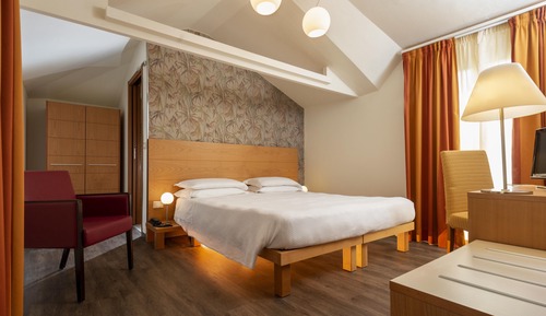 Habitación Deluxe con 1 cama doble o 2 individuales