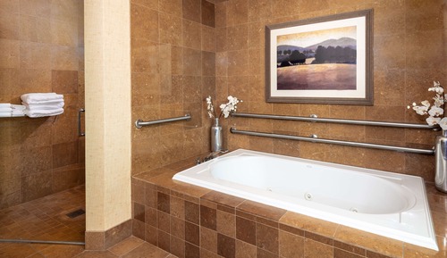 Suite presidencial, 1 cama de matrimonio grande