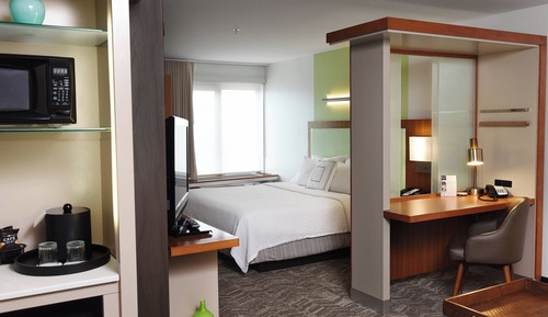 Estudio, 1 cama de matrimonio grande con sofá cama (Mobility/Hearing Access, Roll-In Shwr)