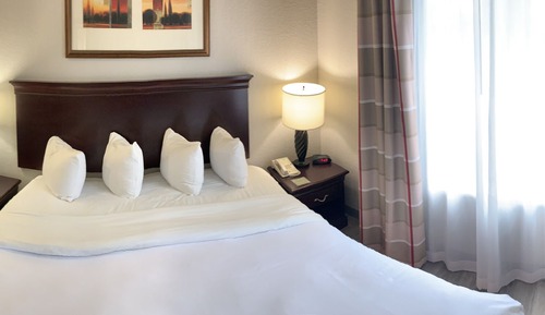 Suite, 1 cama de matrimonio grande con sofá cama, no fumadores (1 Kingbed)