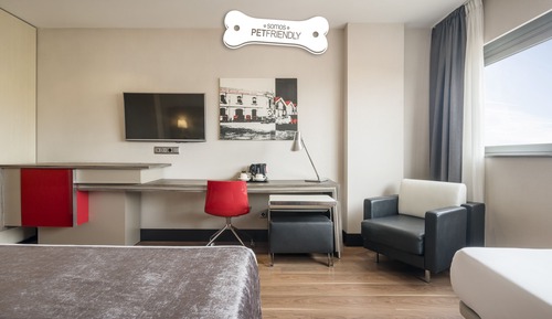 Habitación doble, mascotas