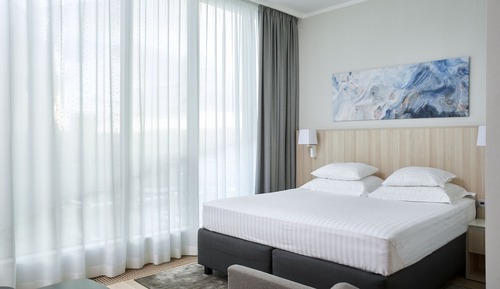 Deluxe Room with SPA access