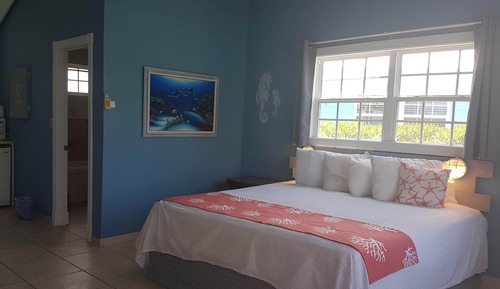 Suite estudio Deluxe, 1 cama de matrimonio grande, vistas al jardín, junto a la playa