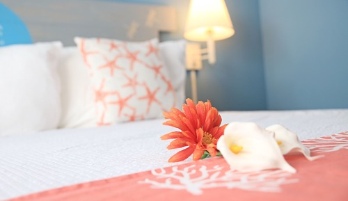 Casa de campo Deluxe, 1 cama de matrimonio grande, vistas al jardín, junto a la playa