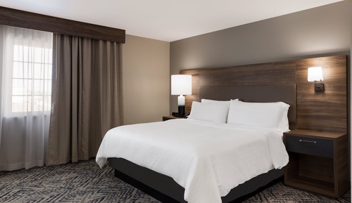 Suite estudio, 1 cama de matrimonio grande con sofá cama