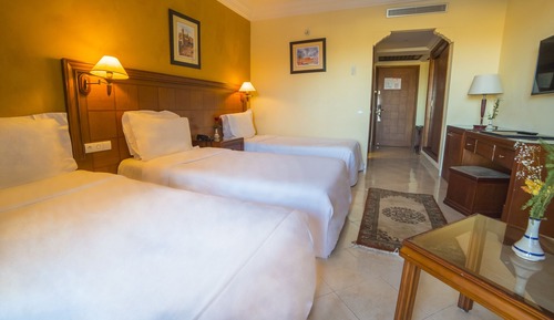 Habitación estándar con 2 camas individuales