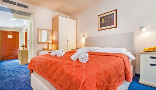 Habitación con 1 cama doble o 2 individuales