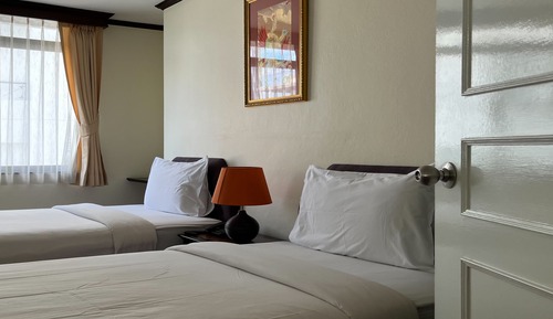 Suite ejecutiva, 2 camas individuales, no fumadores, vistas a la ciudad