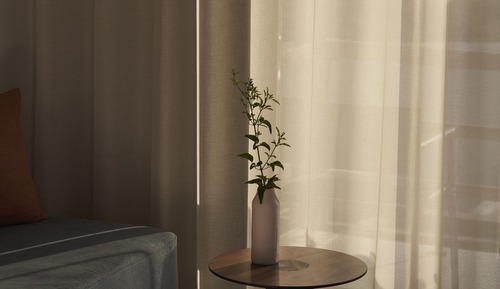 Light Suite Garden View