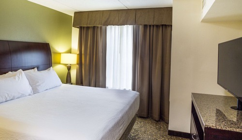 Suite, 1 cama de matrimonio grande con sofá cama