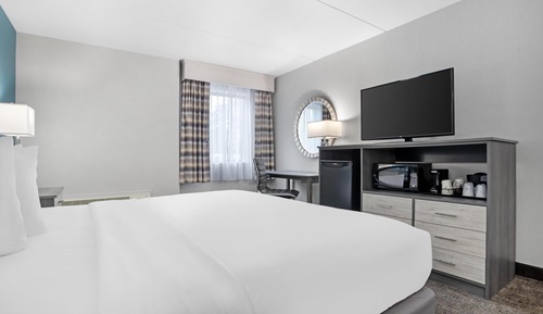 Habitación estándar, 1 cama de matrimonio grande, frigorífico y microondas (Pet Friendly)