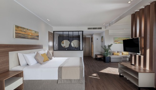 Suite estudio junior, vistas al jardín