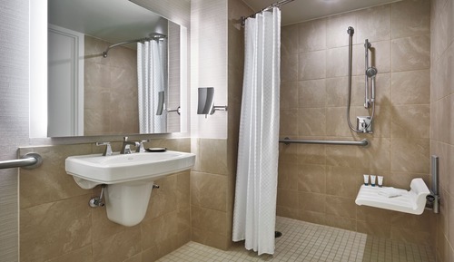 Habitación tradicional, 1 cama de matrimonio grande (Mobility Accessible, Roll-In Shower)