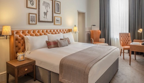 Habitación Deluxe, vistas al jardín