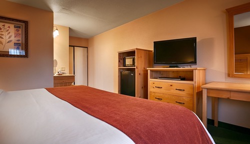 Habitación estándar, 1 cama de matrimonio grande, no fumadores, frigorífico y microondas