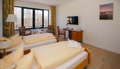 Habitación estándar con 2 camas individuales