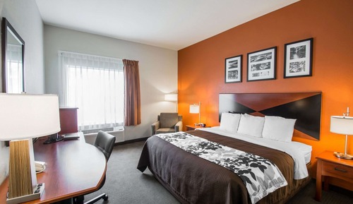 Habitación estándar, 1 cama de matrimonio grande, no fumadores