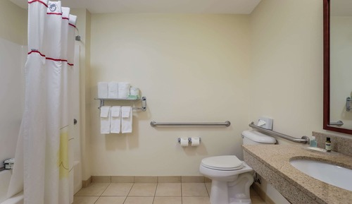 1 King Bed, Accessible, Non Smoking (Efficiency, Accessible Tub)