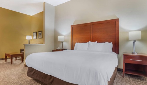 Suite, 1 cama de matrimonio grande con sofá cama, accesible para personas con discapacidad