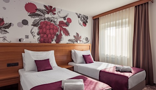 Habitación estándar con 1 cama doble o 2 individuales