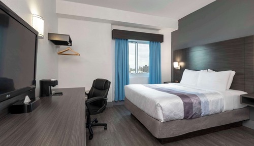 Habitación estándar, 1 cama de matrimonio, no fumadores