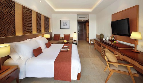 Habitación individual Deluxe, 1 cama de matrimonio grande (Single Occupancy Room)